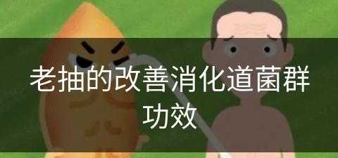 老抽的改善消化道菌群功效(老抽是起什么作用)